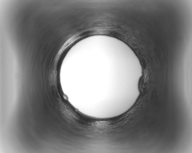 X0000103430150200810031358