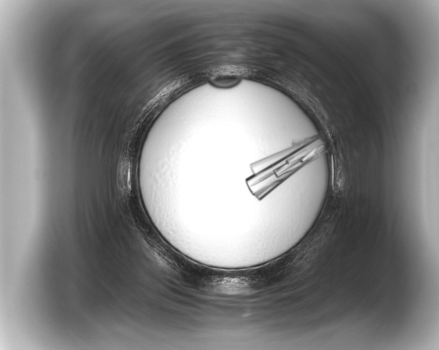 X0000103430157200810031358