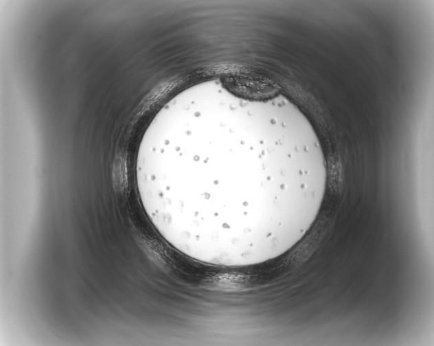 X0000103430158200810031358
