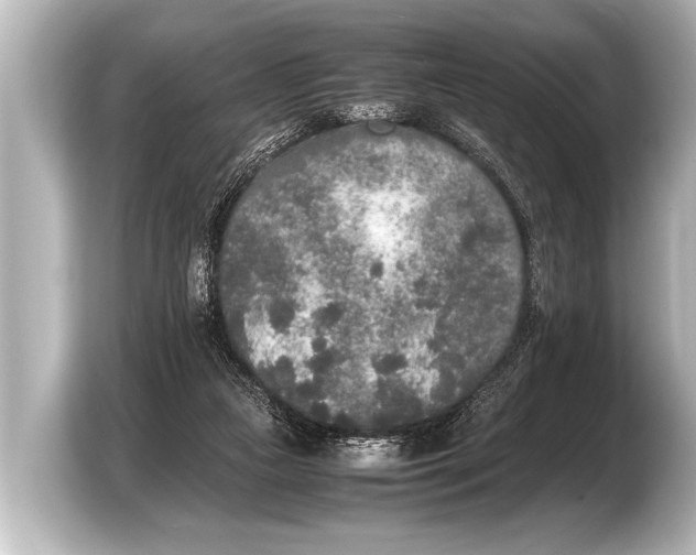 X0000103430161200810031358
