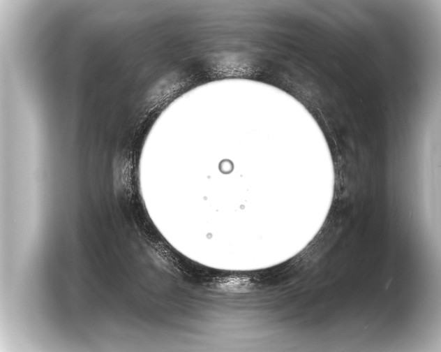 X0000103430162200810031358