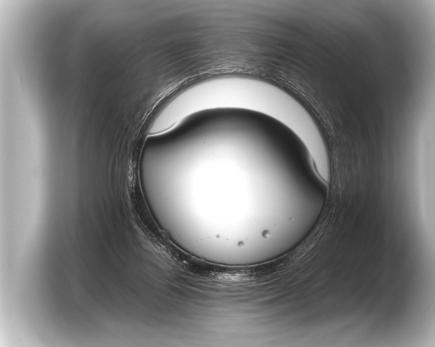 X0000103430164200810031358