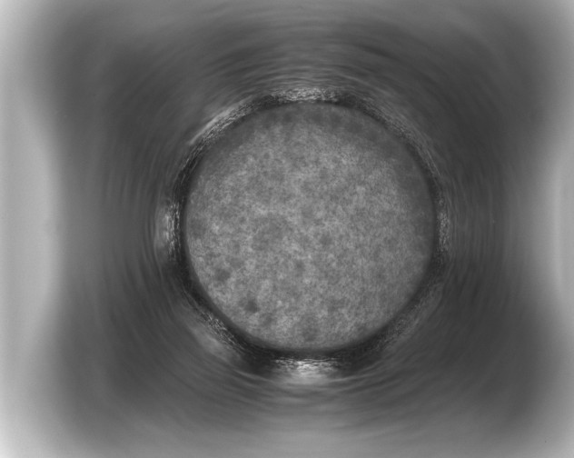 X0000103430165200810031358