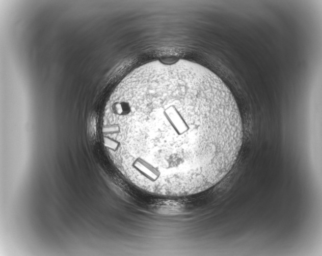 X0000103430166200810031358