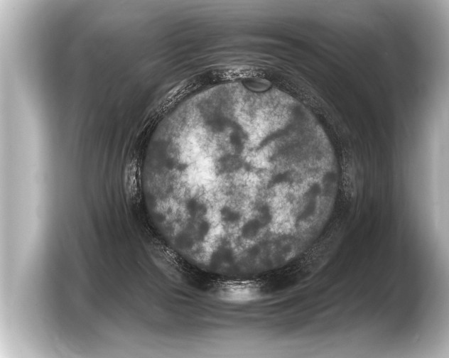 X0000103430169200810031358