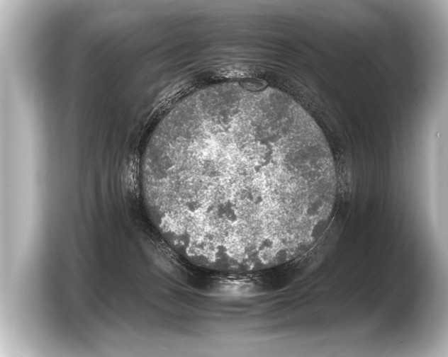 X0000103430175200810031358