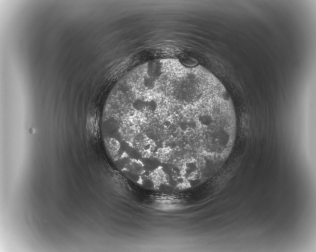 X0000103430177200810031358