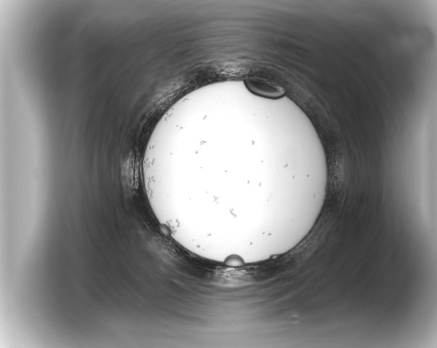 X0000103430180200810031358