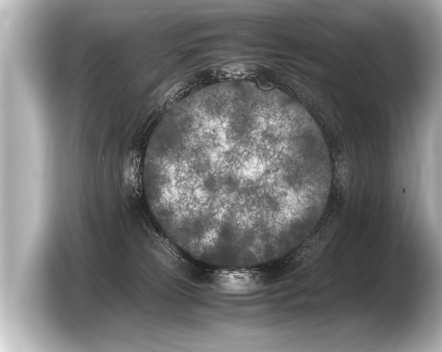 X0000103430181200810031358