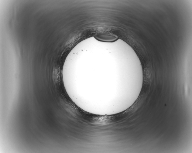 X0000103430184200810031358