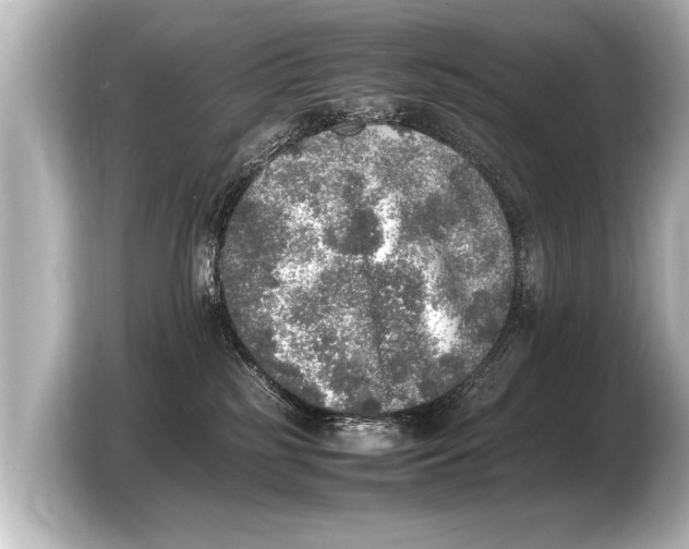 X0000103430185200810031358