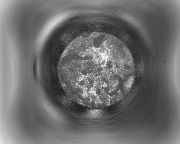 X0000103430189200810031358