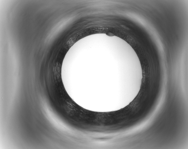 X0000103430190200810031358