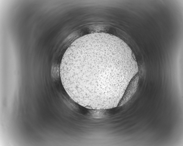X0000103430191200810031358