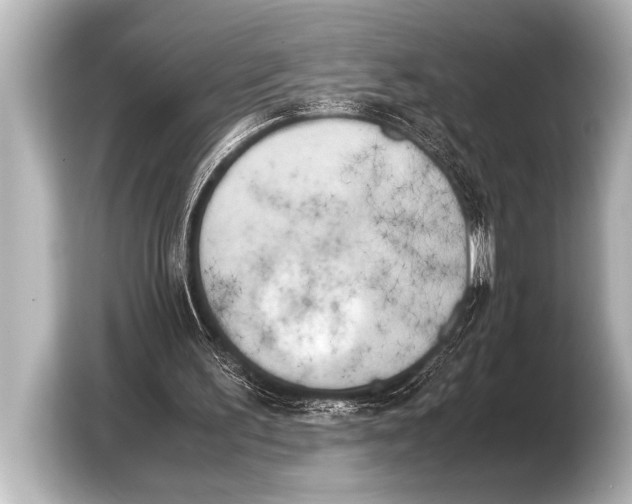 X0000103430195200810031358