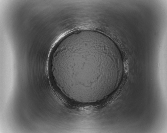 X0000103430196200810031358