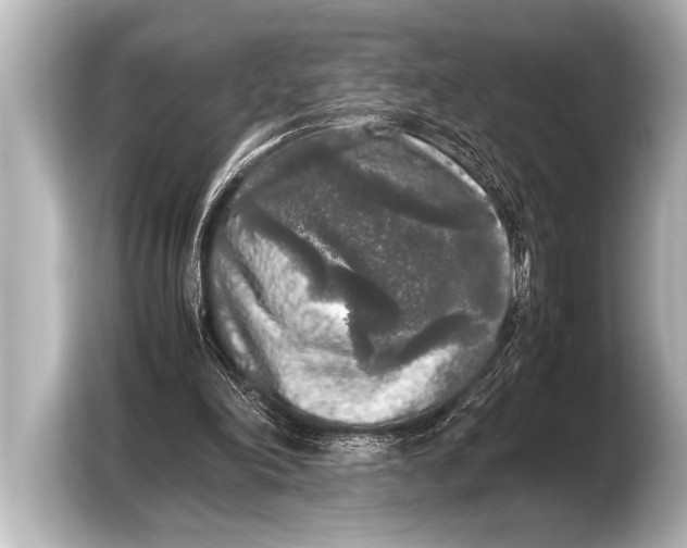 X0000103430198200810031358