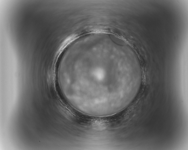 X0000103430199200810031357