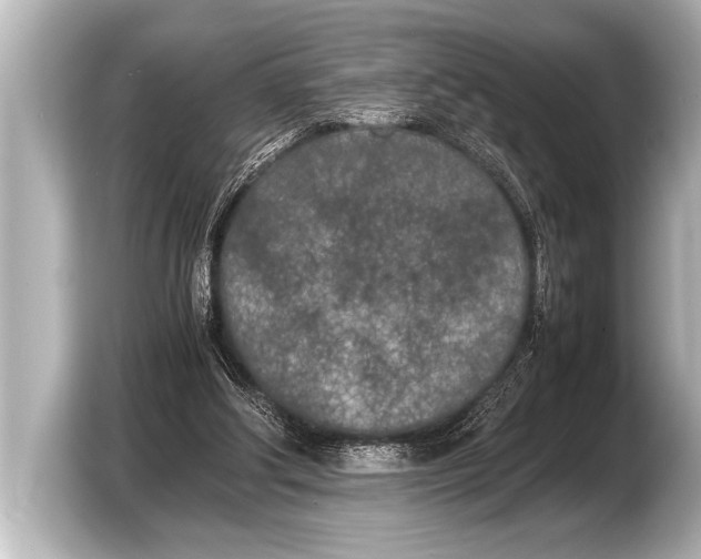 X0000103430202200810031357