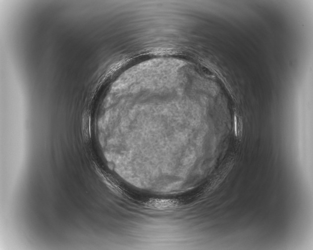 X0000103430205200810031357