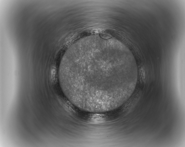 X0000103430222200810031357