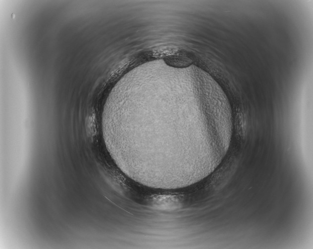 X0000103430224200810031357