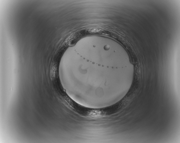 X0000103430227200810031357