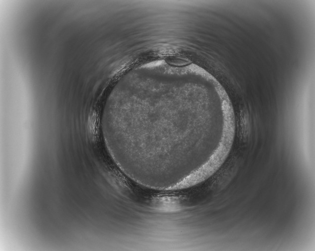 X0000103430228200810031357