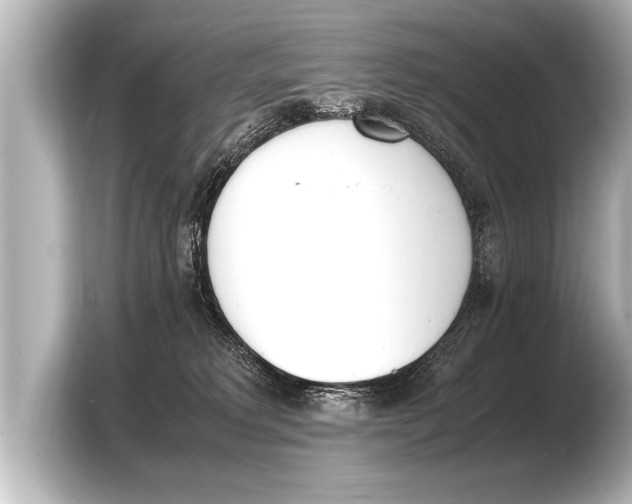 X0000103430229200810031357