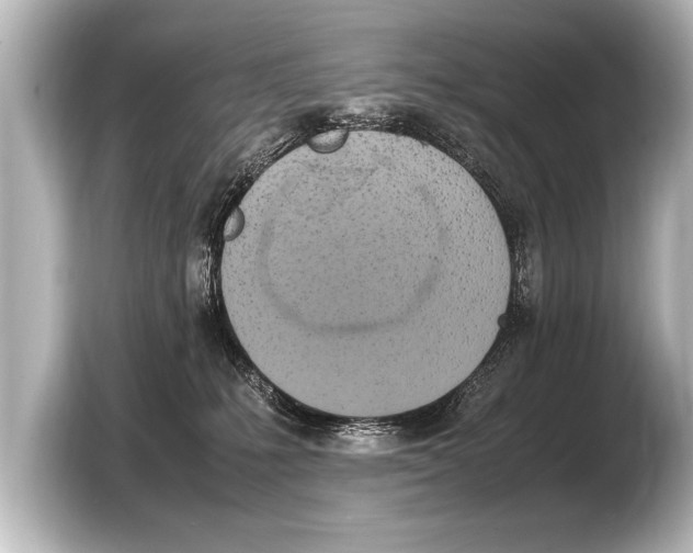 X0000103430231200810031357