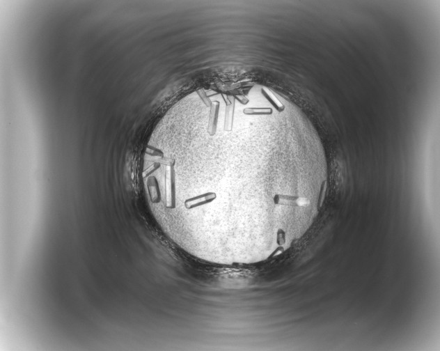 X0000103430234200810031357
