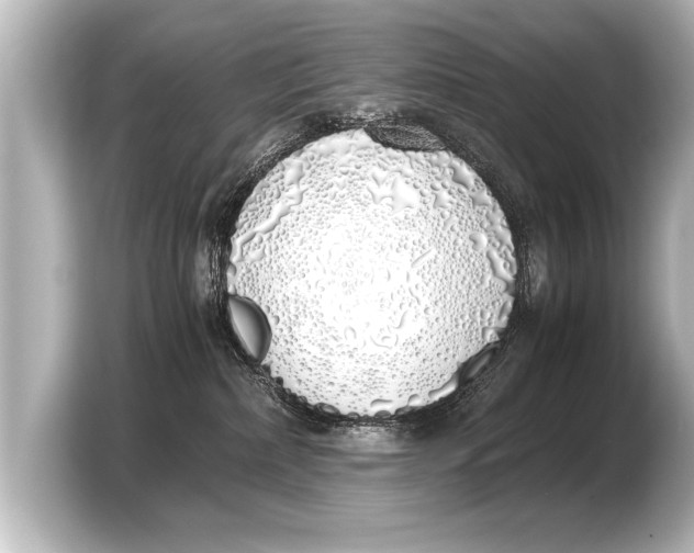 X0000103430236200810031357