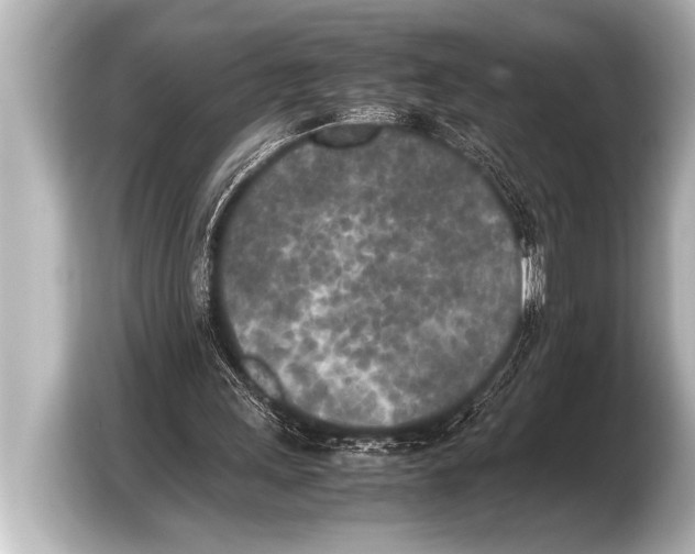 X0000103430243200810031356