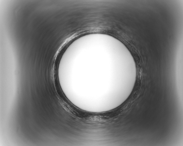 X0000103430244200810031356