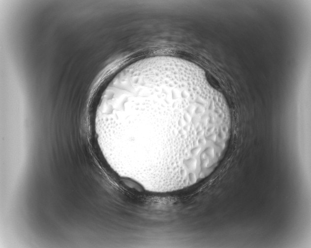 X0000103430245200810031356