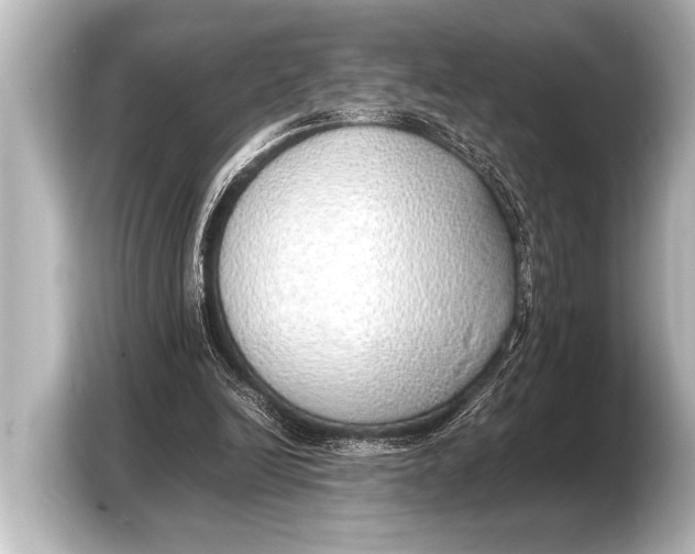 X0000103430246200810031356