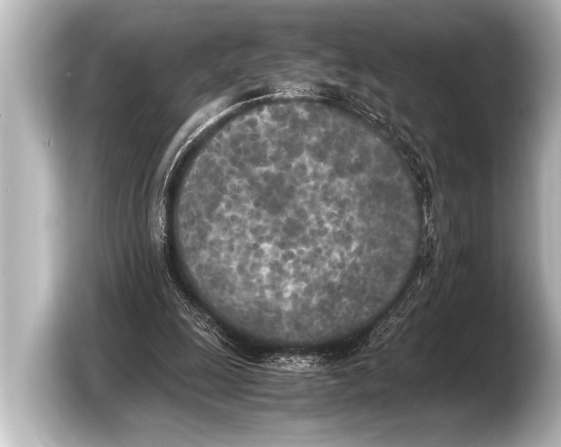 X0000103430247200810031356