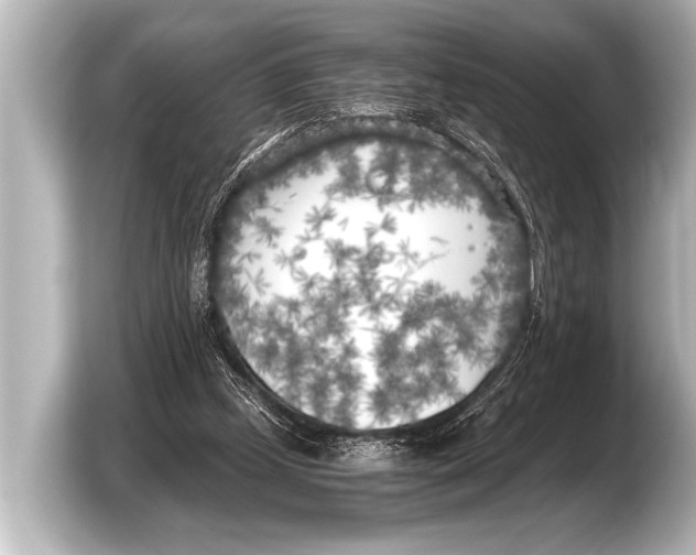 X0000103430249200810031356