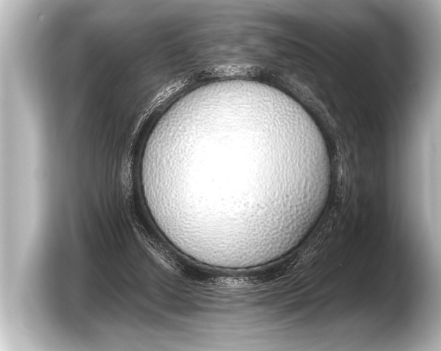 X0000103430250200810031356