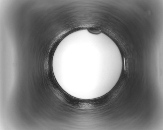 X0000103430252200810031356