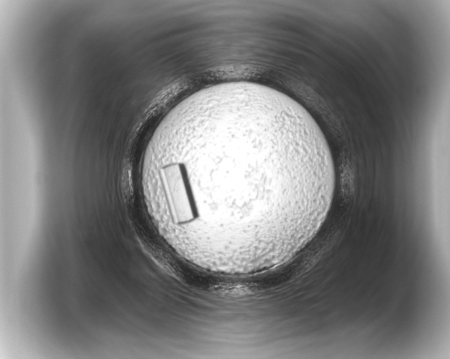 X0000103430254200810031357