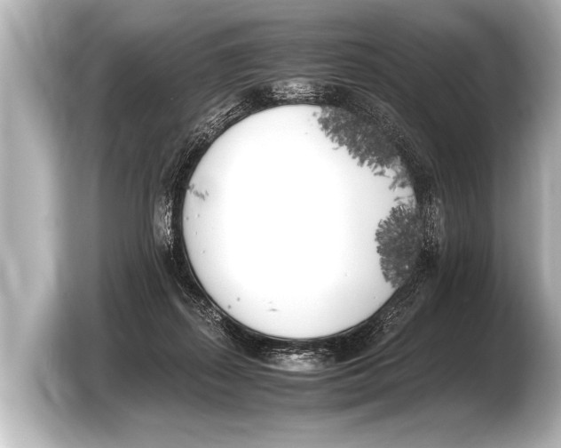 X0000103430267200810031357