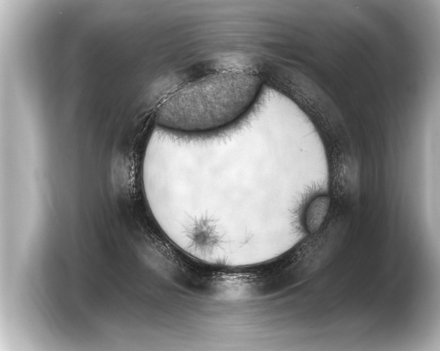 X0000103430268200810031357