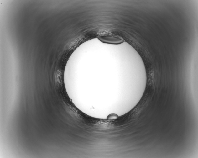 X0000103430280200810031357