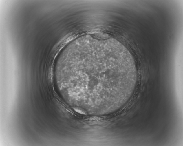 X0000103430290200810031356