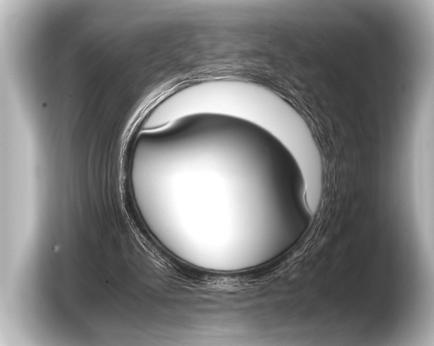 X0000103430293200810031356