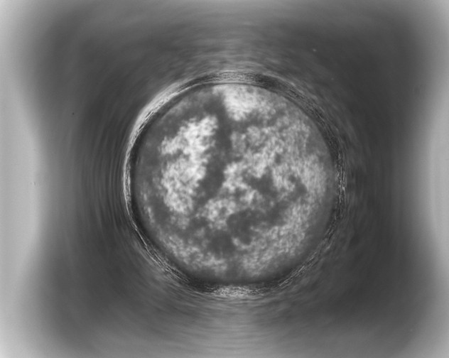 X0000103430294200810031356