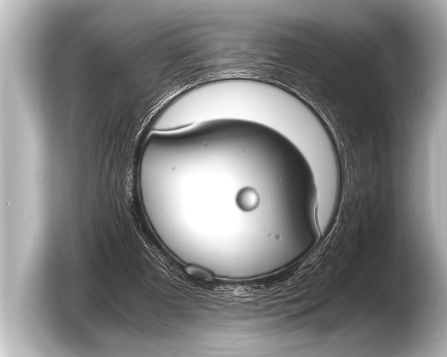 X0000103430297200810031356