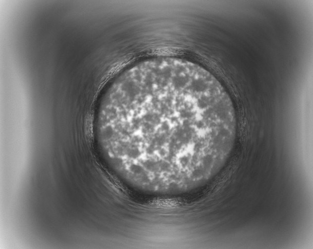 X0000103430299200810031356