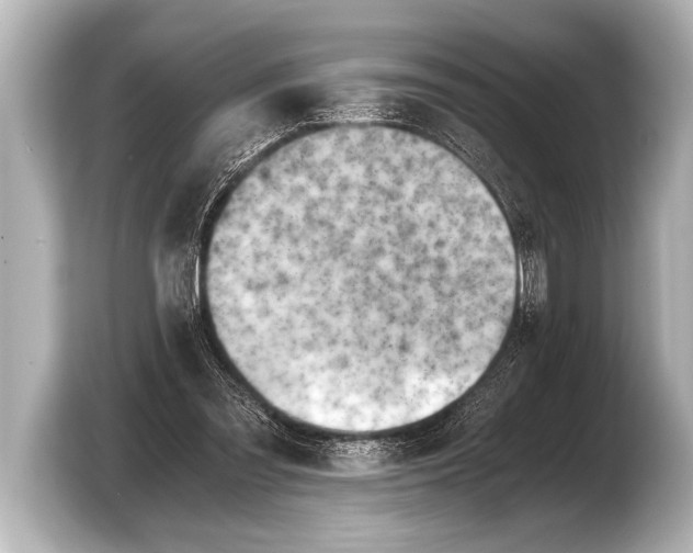 X0000103430301200810031356